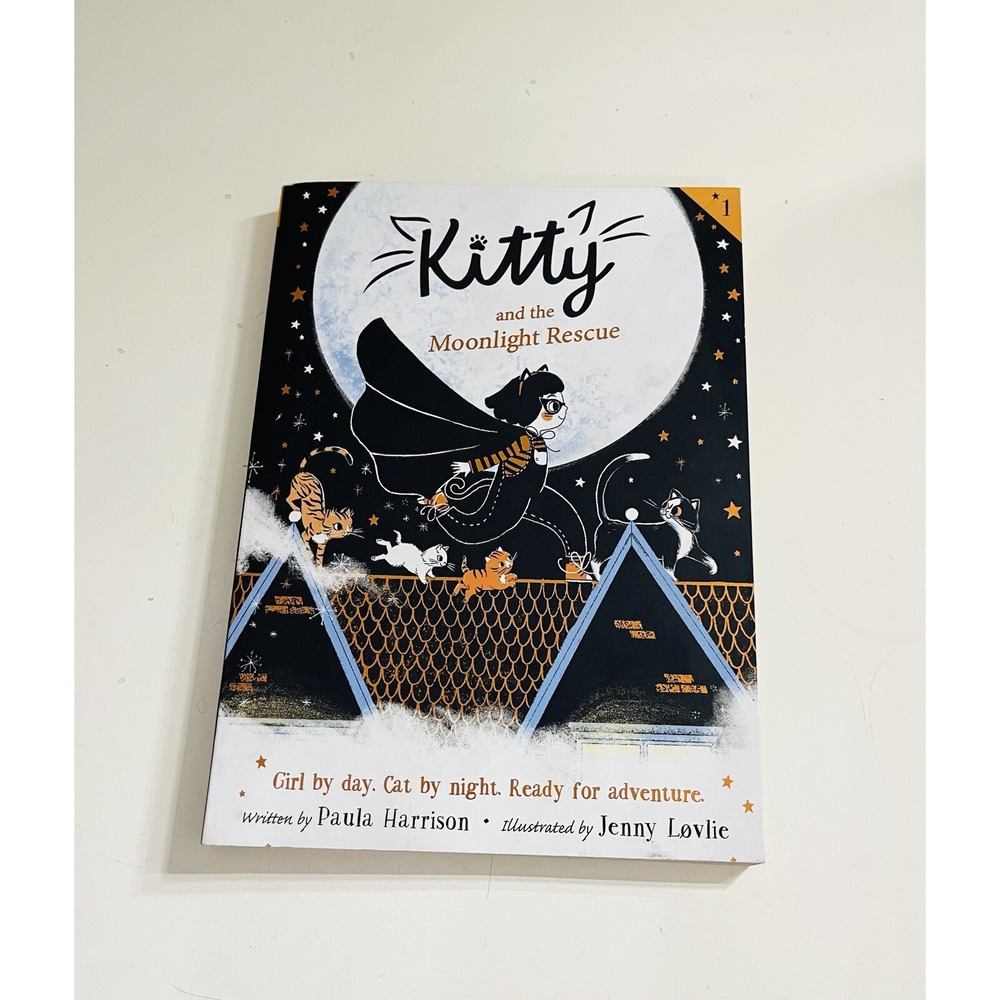 Kitty and the Moonlight Rescue Kids Book